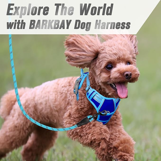 BARKBAY No Pull Dog Harness Front Clip Heavy Duty Reflective Easy Control Handle for Large Dog Walking(Sapphire Blue & Blue,S)