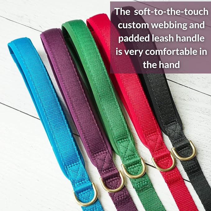 DJANGO Adventure Dog Leash – Strong, Comfortable, and Stylish Dog Leash with Solid Brass Hardware and Padded Handle - Designed for Outdoor Adventures and Everyday Use (Plum Purple)