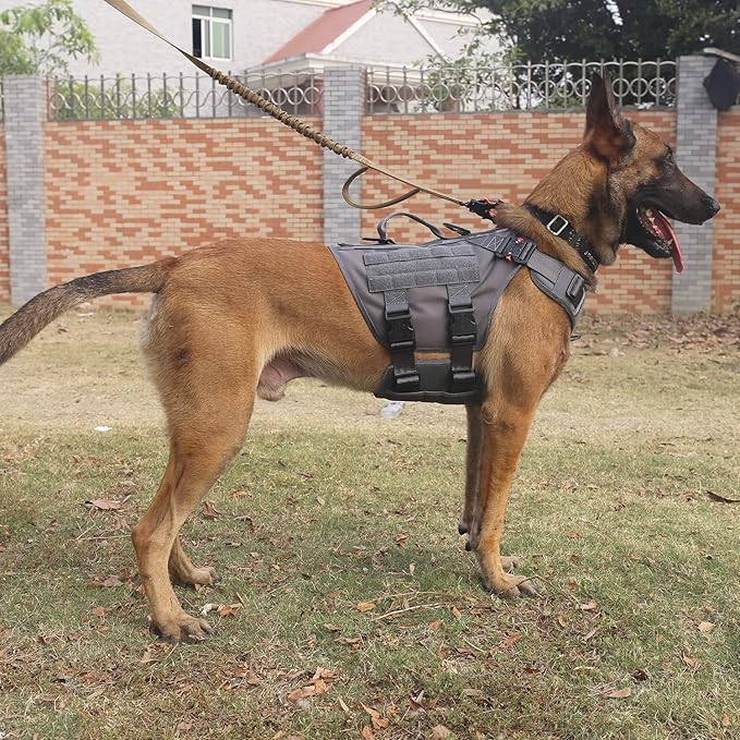 ICEFANG GN3 Tactical Dog Harness with 6X Buckle,Dog Molle Vest with Handle,3/4 Body Coverage,Hook and Loop Panel for ID Patch,No Pulling Front Clip (XL (32"-39" Girth), Wolf Gray)