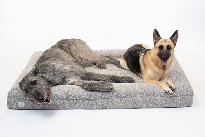 Bluewater Dog Luxury Boucle Orthopedic Memory Foam Dog Bed with Waterproof Liner and Machine Washable Cover with YKK Zippers (X-Large, 61" L x 44" W x 7" Th, Sand)
