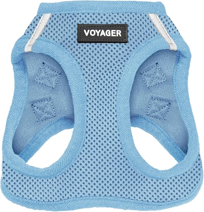 Best Pet Supplies Voyager Step-in Air Harness - All Weather Mesh, Reflective, No Pull Harness for Dogs, Cats - Secure with Hook & Loop Fastener, Buckle, Double D-Rings - Baby Blue, XXS