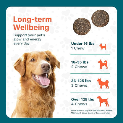 PawPa Regen, 120 Chews Veterinarian Recommended Regenerative Stem Cell Supplement for Senior Dogs, Supports Mobility, Appearance, Alertness, Hip & Joint, Delicious Beef Flavor Chews