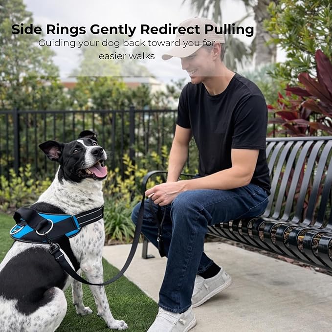 ShawnCo Essential Dog Harness, No-Pull Pet Vest with 3 Leash Clips, No Choke, Reflective, Adjustable and Padded, for Easy Walking and Training for Small, Medium and Large Dogs (Military Camo, S)