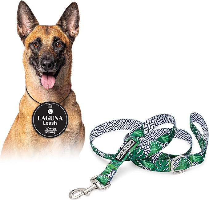 Lucky Love Dog Leash – Soft, Durable, and Comfortable Leash with Vibrant Patterns – Stylish and Long Lasting for Large Male and Female Dogs – Laguna, Large