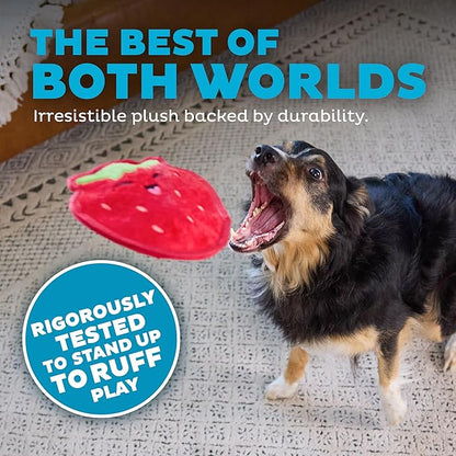 Outward Hound Tough Skinz Durable Squeaky Dog Toy with Two Tough Layers, Strawberry, Red, Medium