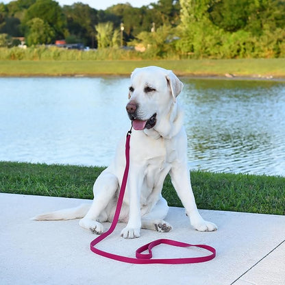 Dogline Biothane Waterproof Dog Leash Strong Coated Nylon Webbing with Black Hardware Odor-Proof Easy to Clean High Performance for Small or Large Dogs Made in USA 4 or 6 ft Lead, Magenta Pink