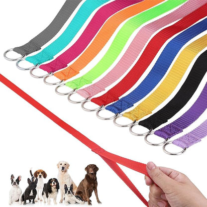 HOMIMP Slip Lead Dog Leash 6 FT- 48 PCS Bulk Colors Kennel Control Leashes for Small Medium Large Dogs Puppy Animal Rescue, Grooming - Heavy Duty Strong Nylon 6 Foot Long for Shelter, Vet, Training