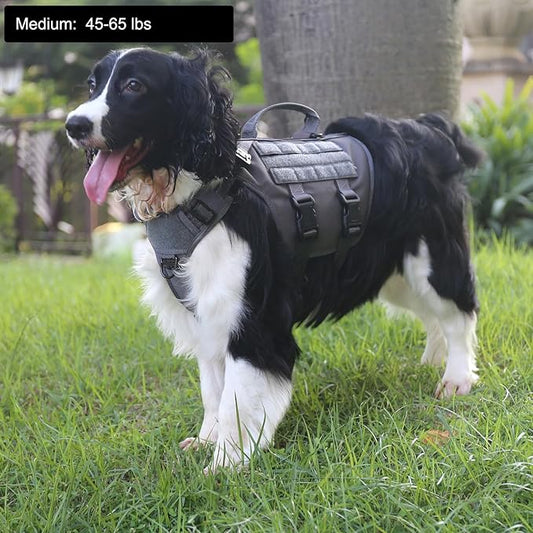ICEFANG GN3 Tactical Dog Harness with 6X Buckle,Dog Molle Vest with Handle,3/4 Body Coverage,Hook and Loop Panel for ID Patch,No Pulling Front Clip (M (25"-31" Girth), Wolf Gray)