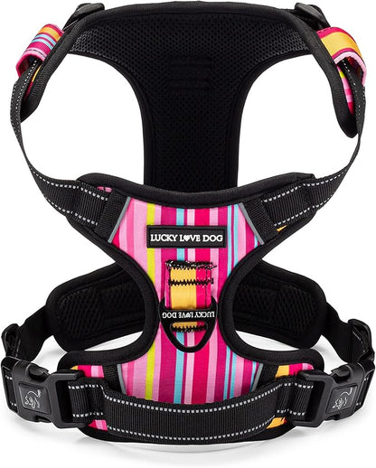 Lucky Love Dog No Pull Dog Harness, Adjustable and Easy to Walk, Cute Patterned Harness for SmallMale & Female Dogs - Molly, Small