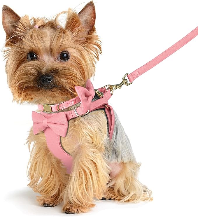 Beirui Adorable Small Dog Harness Collar and Leash Set,Cute XXS Puppy Harness Set with 3 Bows for Tiny Dogs,Chihuahua,Adjustable Step-in Vest for Daily Walking,Parties&Holiday Outfits(Pink,XXS)