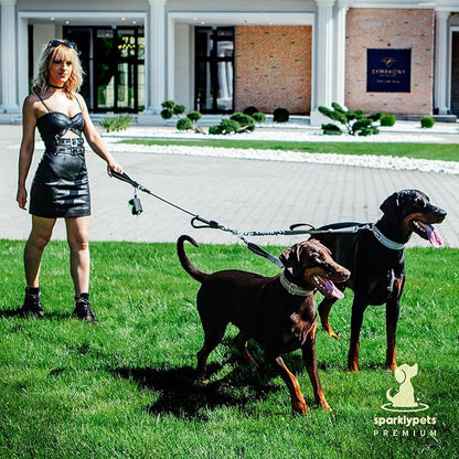 Premium Double Leash for Two Dogs – Shock Absorbing Anti Pull Double Lead for Medium & Large Breeds with Adjustable Dual Leash Attachment for 2 Dogs