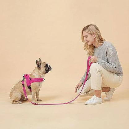 Didog Soft Flannel Padded Dog Vest Harness, No Pull/Quick Fit Reflective Dog Strap Harness, Easy for Training Walking (XS:Chest 15-18", Hot Pink)