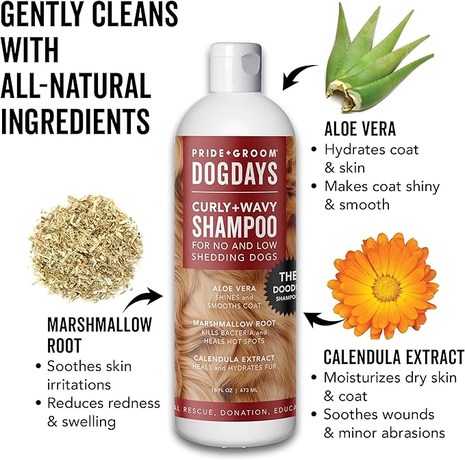 Pride and Groom DogDays Curly + Wavy The Scrub Kit - Natural Dog Shampoo with Silicone Scrubber Gloves for Low or No-Shedding Breeds with Coat Massage, Clean Ingredients, and Gentle Pet Grooming Care