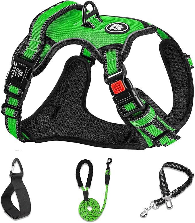 NESTROAD Dog Harness, Adjustable Oxford Harness with Leash, Reflective No-Choke Pet Vest with Easy Control Handle (M, Fluorescent Green)