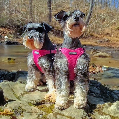 Best Pet Supplies Voyager Mesh Dog Breathable Harness Reflective Stitching, All Weather Adjustable for Walking Training, or Running - Heavy Duty & Durable, Harness Leash Set (Fuchsia), XS