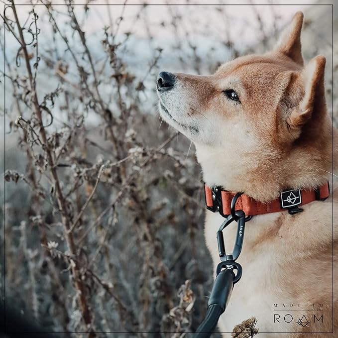 MADE TO ROAM Premium Everyday Leash - Ultra Soft Dog Leash with Aviation Aluminum Carabiner for Small, Medium, Large Dogs - California Horizon, 4ft (Rubber Coated Metal Clamps)