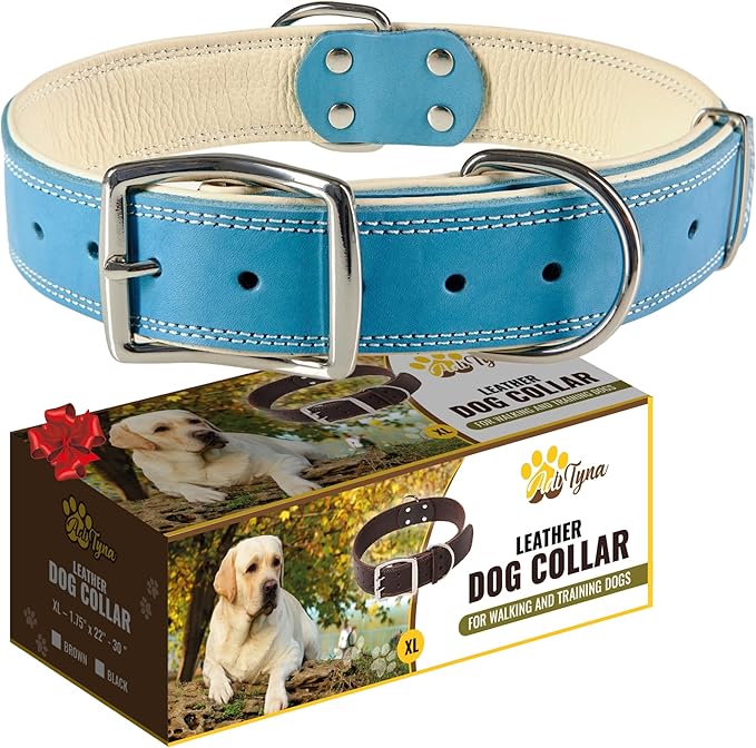ADITYNA Heavy-Duty Blue Leather Dog Collar for Extra-Large Dogs - Soft Padded for Comfort - XL Dog Collar for Walking, Training, and Hiking