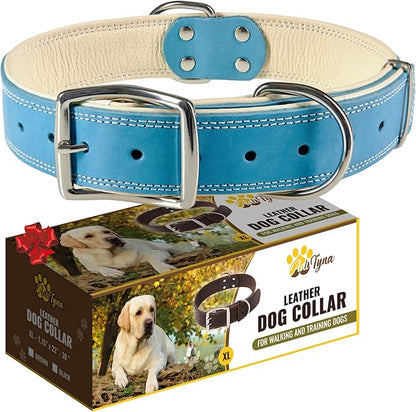 ADITYNA Heavy-Duty Blue Leather Dog Collar for Extra-Large Dogs - Soft Padded for Comfort - XL Dog Collar for Walking, Training, and Hiking
