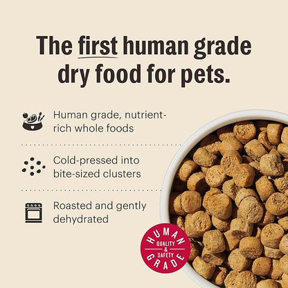 The Honest Kitchen Human Grade Whole Food Clusters Whole Grain Beef & Oat Dry Dog Food, 5 lb Bag