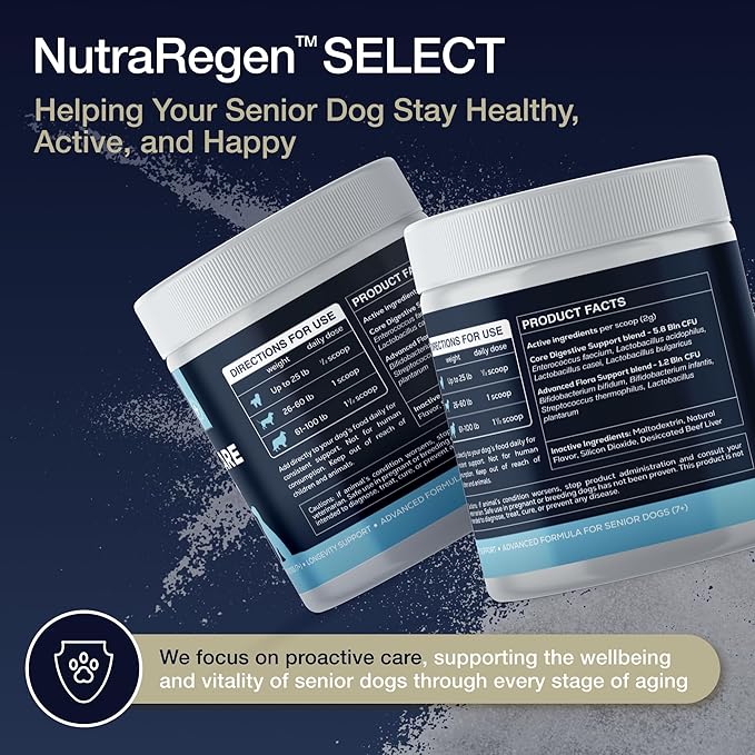 Select Digestive Senior Dog Probiotic Powder 30 Scoops | Beef Flavored Dog Probiotics for Digestive Health, Supports Gut Health, Scratching, Itchy & Dry Skin, Allergies 2.1 Oz | 7 Bn CFU