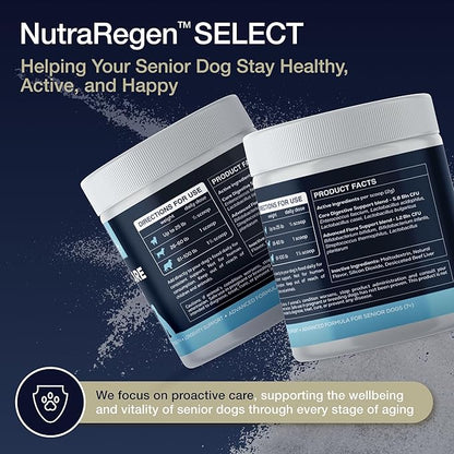 Select Digestive Senior Dog Probiotic Powder 30 Scoops | Beef Flavored Dog Probiotics for Digestive Health, Supports Gut Health, Scratching, Itchy & Dry Skin, Allergies 2.1 Oz | 7 Bn CFU