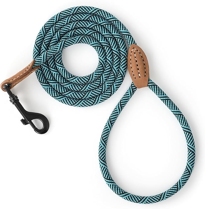 Mile High Life Small Dog Leash, Thin Rope Leash with Genuine Leather Connection and Heavy Duty Metal Clasp, Great for Small Medium Dogs(Turquoise Green, 72 Inch-1/3)