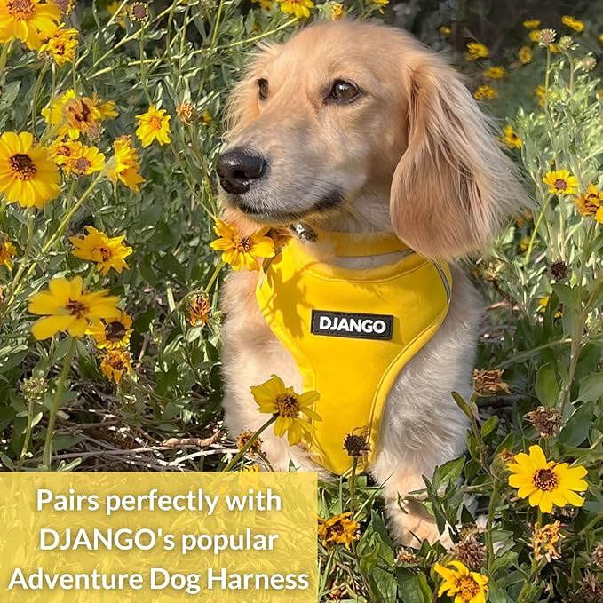 DJANGO Adventure Dog Leash – Strong, Comfortable, and Stylish Dog Leash with Solid Brass Hardware and Padded Handle - Designed for Outdoor Adventures and Everyday Use (Dandelion Yellow)