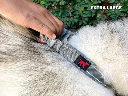 Tuff Pupper Heavy Duty Dog Collar with Handle | Ballistic Nylon Heavy Duty Collar | Padded Reflective Dog Collar with Adjustable Stainless Steel Hardware | Convenient Sizing for All Breeds
