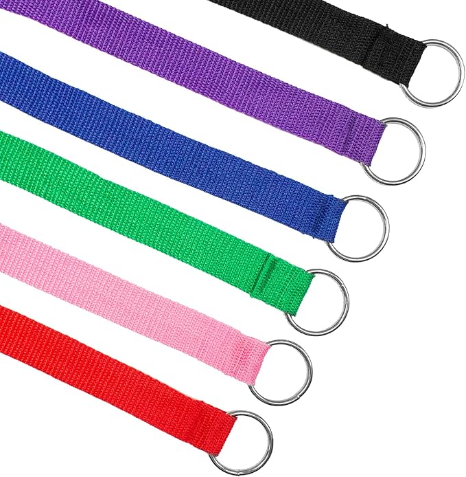 Downtown Pet Supply - 6ft Dog Kennel Slip Lead - Veterinarian, Grooming, Daycare & Rescue Supplies - One Size Leads for Dogs - 1" Thick - 12 Pack
