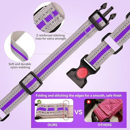 Martingale Collar for Dogs,Soft Neoprene Padded Reflective Martingale Collar and Leash Set Safety Buckle Nylon Martingale Collar for Small Dogs(Purple&S)