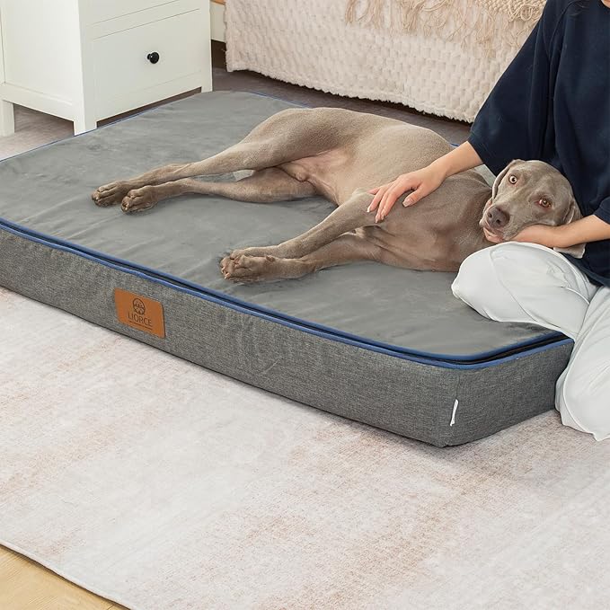 LIORCE Orthopedic Memory Foam Giant Dog Bed - 6" Thick Beds for Large Sized Dog - Waterproof Removable Washable Cover & Wrap-Around Zipper - Ultimate Comfort & Easy Maintenance, Dark Grey