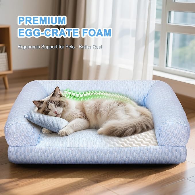 Foamio Cat Bed, Cat Beds for Indoor Cats, Summer Cooling Pet Sofa Bed, Washable Medium Pet Bed for Puppy and Small to Large Kitten with Anti-Slip Bottom, Fits Up to 65lbs Pets
