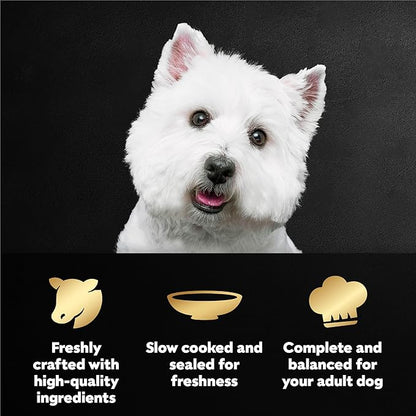 Cesar Filets in Gravy Wet Dog Food, Filet Mignon Flavor, Wet Food for Dogs, 1.76 oz. Mini-Pouches, 20 Count