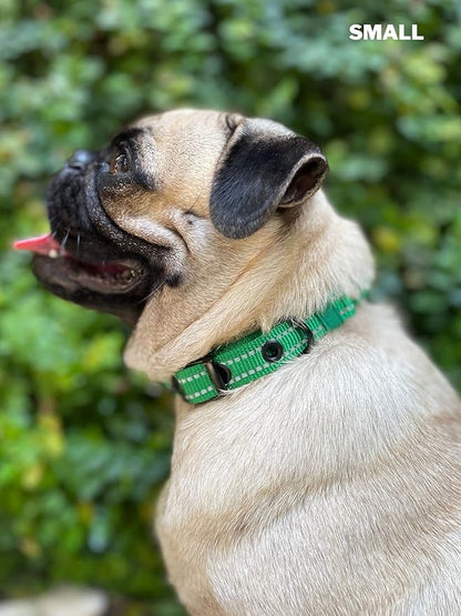 Tuff Pupper Heavy Duty Dog Collar with Handle | Ballistic Nylon Heavy Duty Collar | Padded Reflective Dog Collar with Adjustable Stainless Steel Hardware | Convenient Sizing for All Breeds