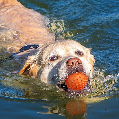 Apasiri Peanut Flavor Dog Ball, Indestructible Dog Toy for Aggressive Chewers, Large Breed, Squeaky, Rubber, Orange