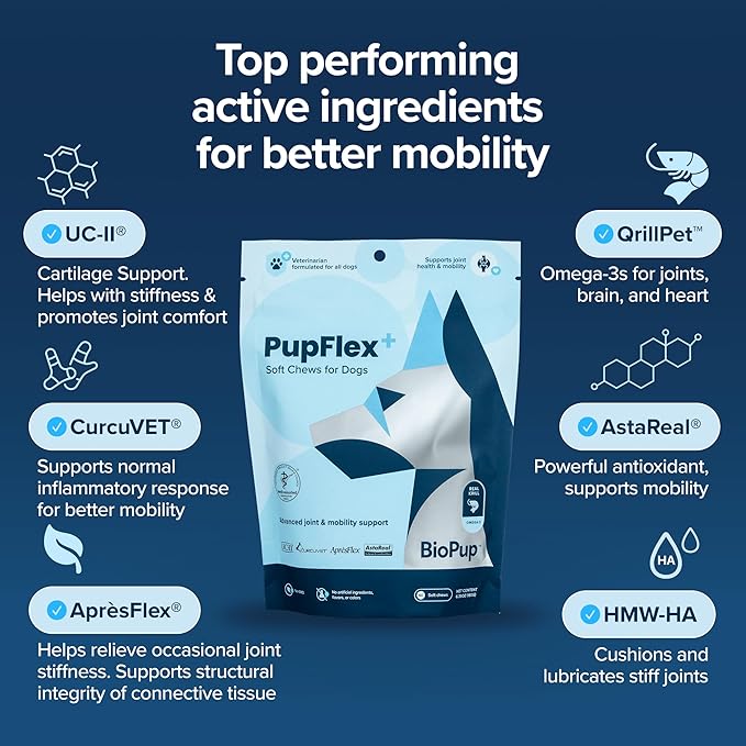 PupFlex+ Hip and Joint Supplement Dogs, Vet Created Soft Chews w/UC-II® Collagen, CurcuVET® & Omega 3 - UC-II Collagen More Effective Than Glucosamine Chondroitin, Dog Joint Supplement (60 ct)
