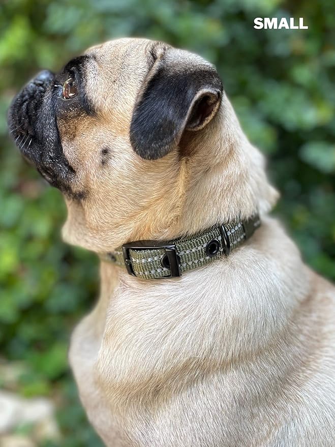 Tuff Pupper Heavy Duty Dog Collar with Handle | Ballistic Nylon Heavy Duty Collar | Padded Reflective Dog Collar with Adjustable Stainless Steel Hardware | Convenient Sizing for All Breeds