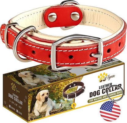ADITYNA Heavy-Duty Leather Dog Collar for Small Dogs - Soft Padded for Comfort - Small Dog Collar for Walking, Training, and Hiking