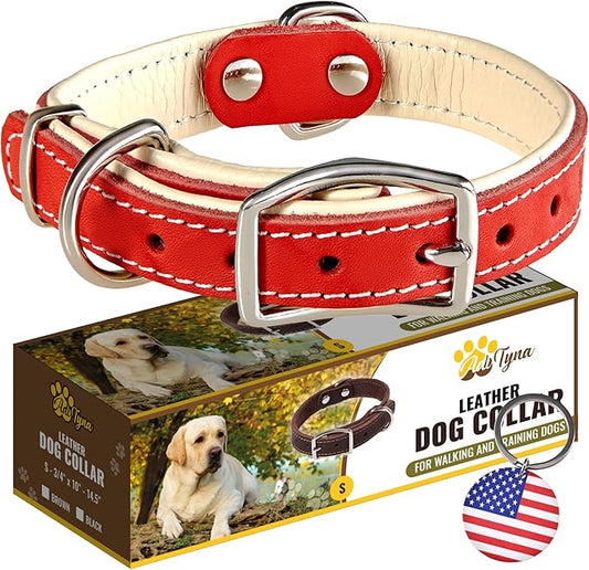 ADITYNA Heavy-Duty Leather Dog Collar for Small Dogs - Soft Padded for Comfort - Small Dog Collar for Walking, Training, and Hiking