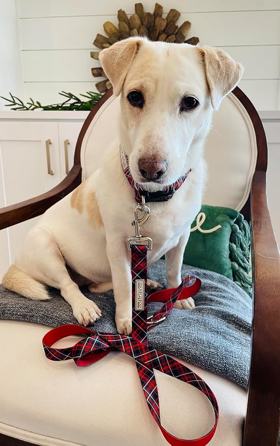 Lucky Love Dog - Adjustable Dog Collar with Easy Click Buckle for Small Dogs, Durable, & Comfortable for Male & Female Dogs, Pet Collar for Puppies & Adult Dogs - Heywood, Small