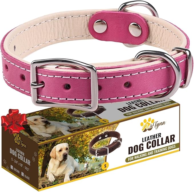 ADITYNA Heavy-Duty Pink Leather Dog Collar for Small Dogs - Soft Padded for Comfort - Girl Dog Collar for Walking, Training, and Hiking