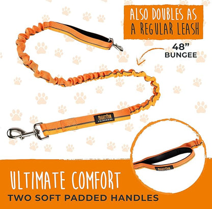 Mighty Paw Hands Free Dog Leash | Bungee Waist Leash for Dog Walking. Pet Running Hands Free Tether for Large, Medium & Small Breeds. Pet Waist Belt (36" - 48") Up to 150 lbs - Orange