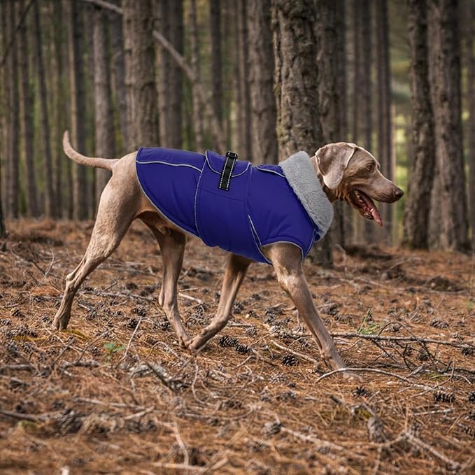Lelepet Warm Dog Winter Coat Waterproof Dog Jacket with Adjustable Buckle & Leash Hole Reflective Pet Fleece Snowsuit Turtleneck Windproof Cold Weather Coats, Blue, S