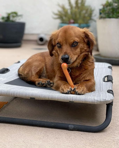 Nylabone Original Bone Power Chew Toy for Dogs, Durable Dog Toys for Aggressive Chewers, Flavor Frenzy Pancakes & Sausage, Roast Beef, & Lasagna, X-Small - Up to 15 lbs, 3 Pack