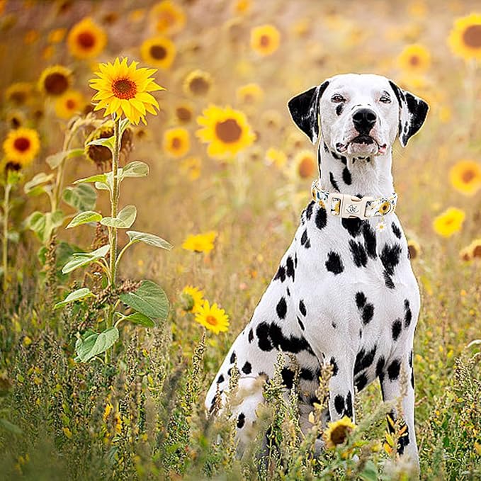 Elegant little tail Dog Collar,Sunflower Pattern Pet Collar Cute Durable Spring Female or Male Adjustable Cotton Pet Collar with Quick Release Buckle for Small Dogs