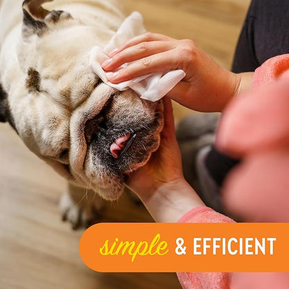 Dogtopia Blueberry Facial Cleansing Wash for Dogs (16oz) and Facial Wipes (60ct) Combo | Gently Remove Tear Stains | Remove Saliva Stains | Brighten and Whiten Coat | Daily Tear Stain Wipes