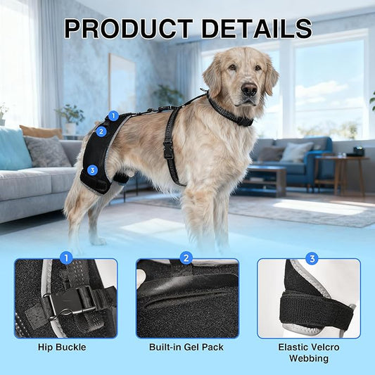 Dog Hip Brace with Removable Hot/Cold Pack for Hip Dysplasia & Mild Rear-Leg Instability, Breathable and Comfortable Support for ACL/Arthritis Recovery, Size M