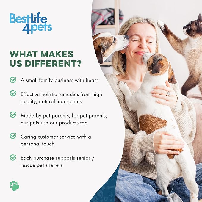 Cat Joint Supplement and Mobility Support - Natural Plant-Based Formula Provides Comfort for Aging and Felines with Mobility Challenges, 400 Tiny Tasteless Pills Easy to Give Even Feral or Picky Cats