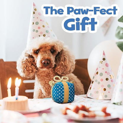 Gift Box Dog Toy – Valentines Day & Birthday Dog Toy, Interactive Squeaker,Rope, and Crinkles for Fun Birthday Puppy Surprise