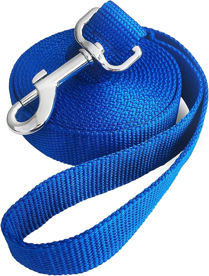 10ft Blue Dog Leashes - Obedience Recall Training Agility - Strong Traditional Style Extra Long Leads for Large, Medium & Small Dogs - Great for Parks,Fetch,Backyard & Camping(10FT, Blue)